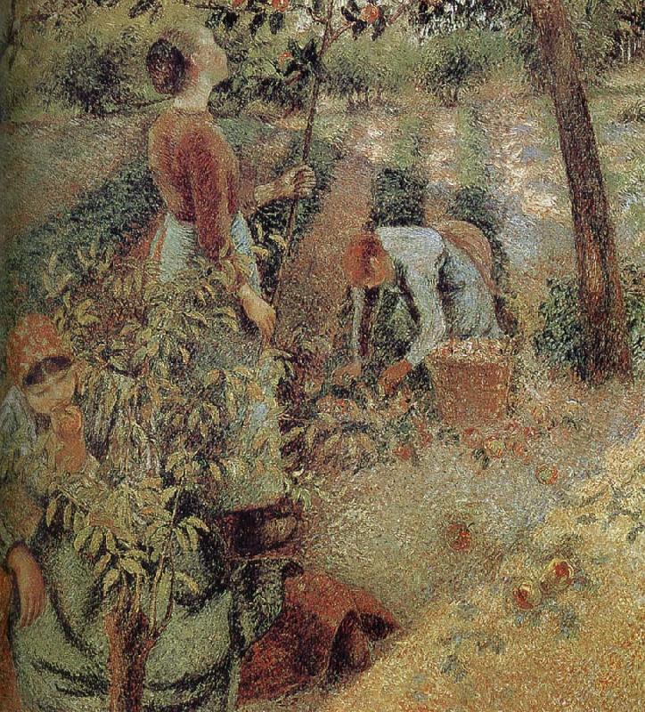 Camille Pissarro woman picking apples oil painting image